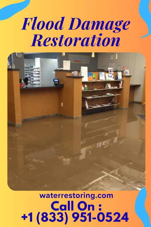 Flood Damage Restoration in Poplarville, MS